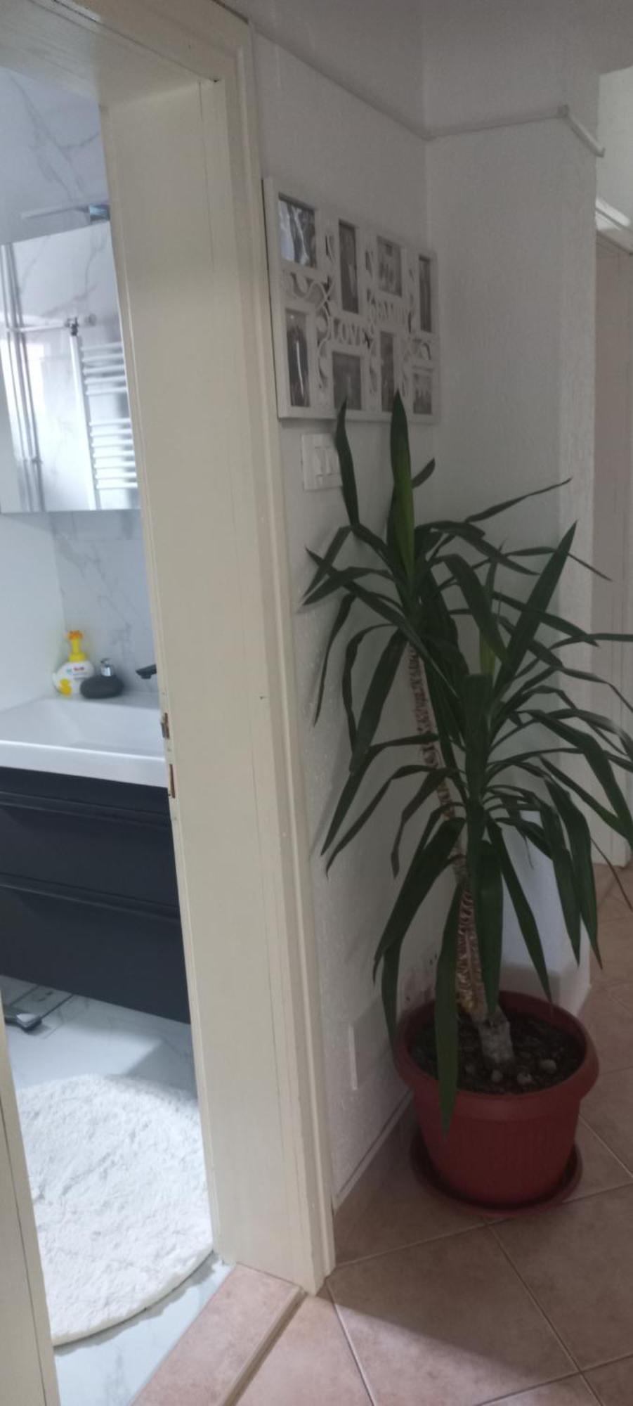 Holiday Home Peaceful Retreat 비소코 외부 사진