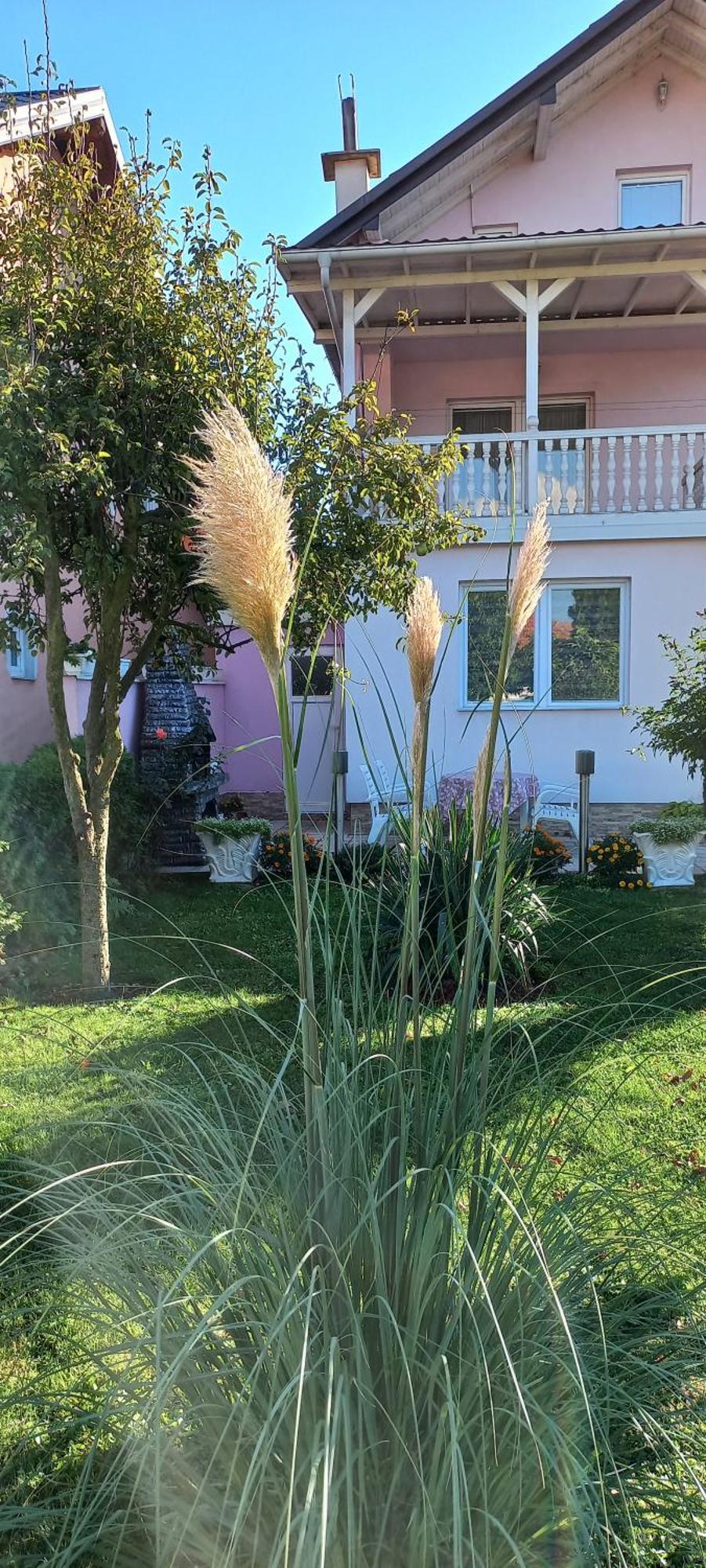 Holiday Home Peaceful Retreat 비소코 외부 사진